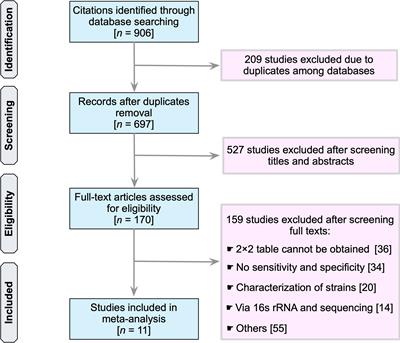 Molecular Tools for Guiding Therapy in Patients With Staphylococcal Bone and Joint Infections: A Diagnostic Test Accuracy Meta-analysis